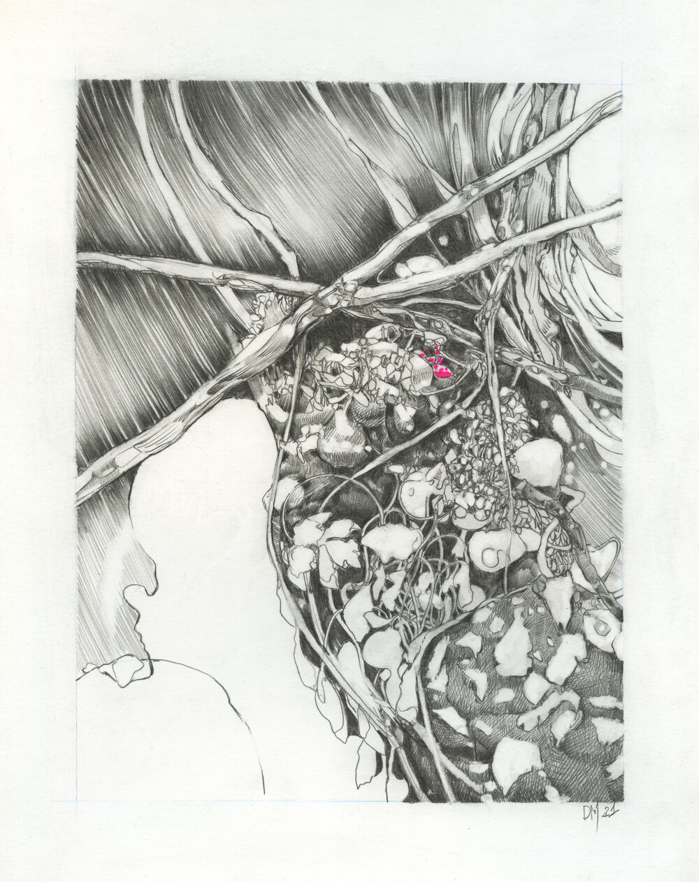 Punctum-Dessin de David Meyer